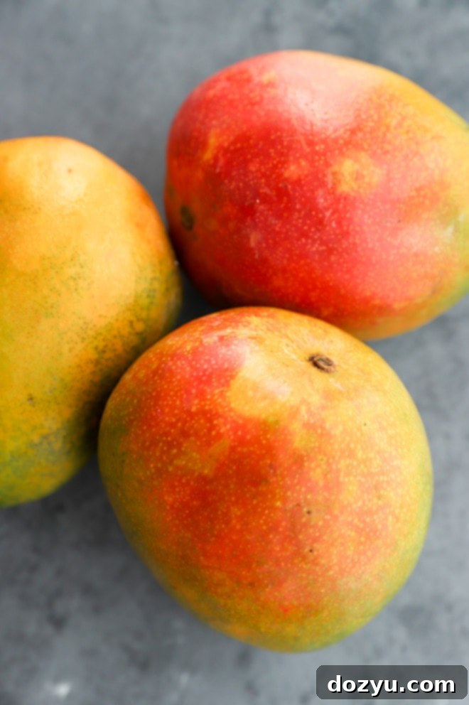 Sweet Mango Mousse with a Spicy Citrus Crunch 5 Fresh mangoes picture