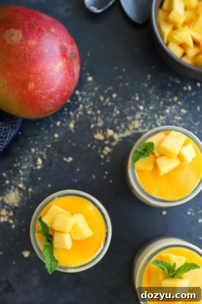 Sweet Mango Mousse with a Spicy Citrus Crunch 8 Overhead image of mango mousse cups