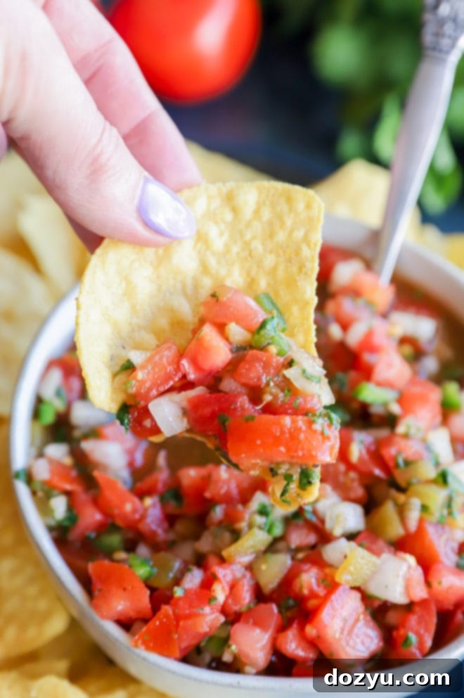 Crafting Perfect Salsa The Essential Tomato Varieties 2 Hand holding chip with dip image