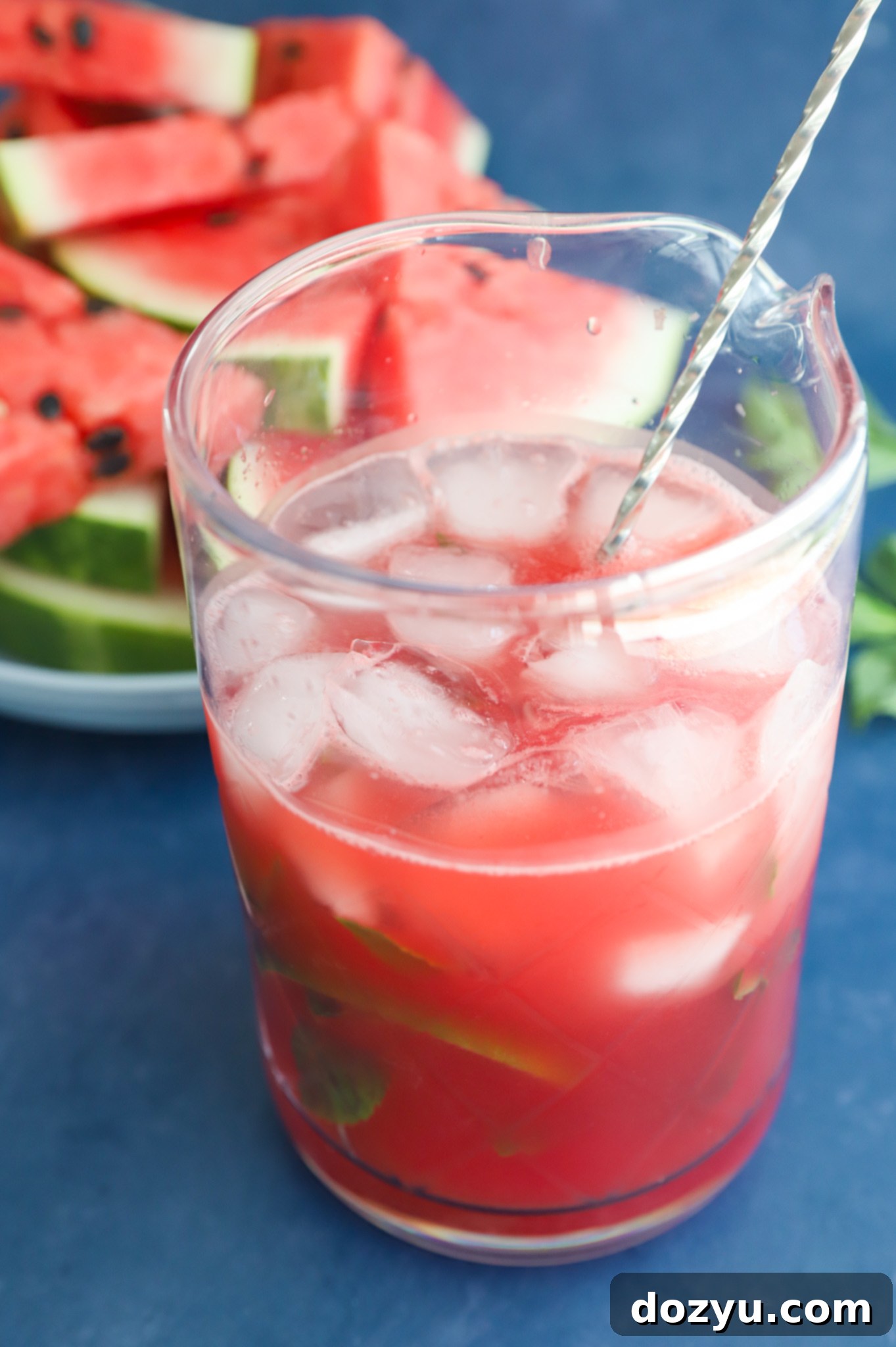 Ingredients for watermelon gin cocktail picture