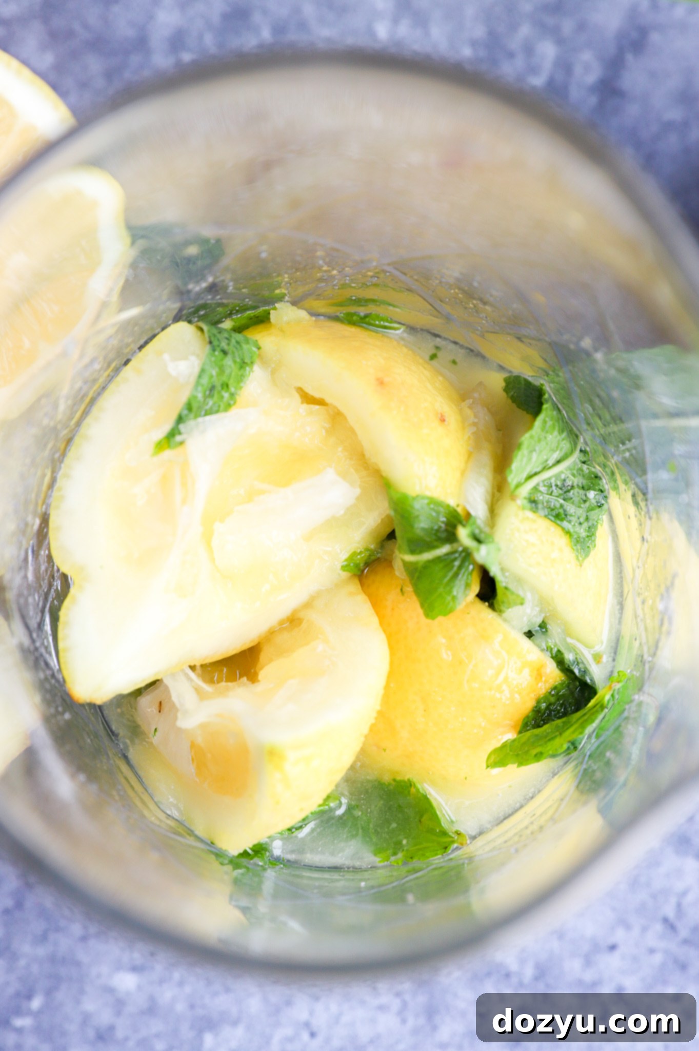 Muddled citrus and mint leaves in a cocktail glass photo