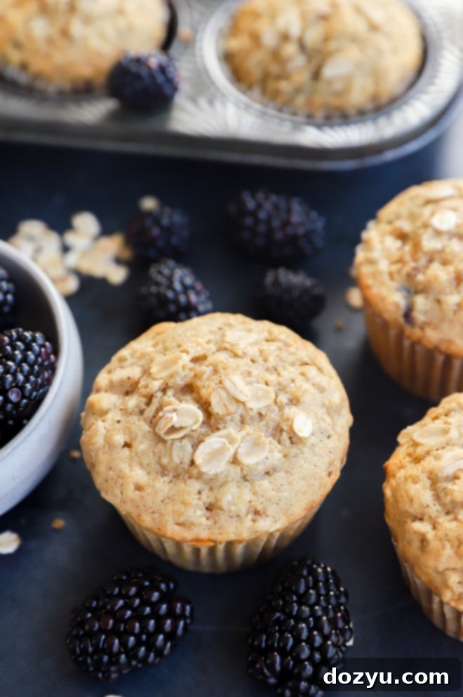 Delicious Oatmeal Blackberry Muffins baked in parchment liners, adorned with fresh blackberries and a sprinkling of oats.