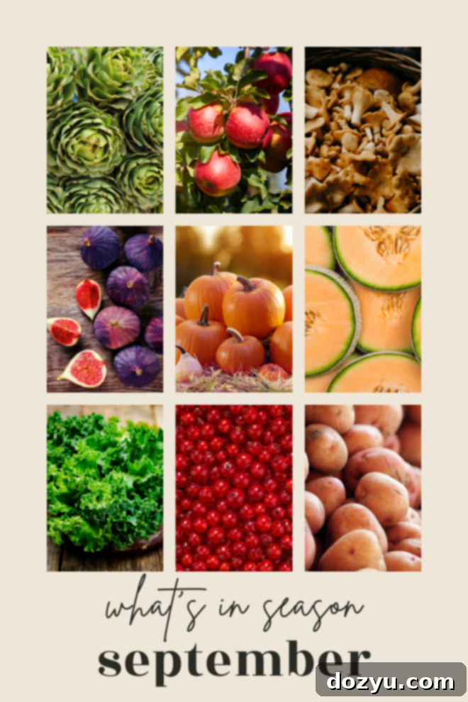 A vibrant infographic showcasing various fruits and vegetables in season during September.