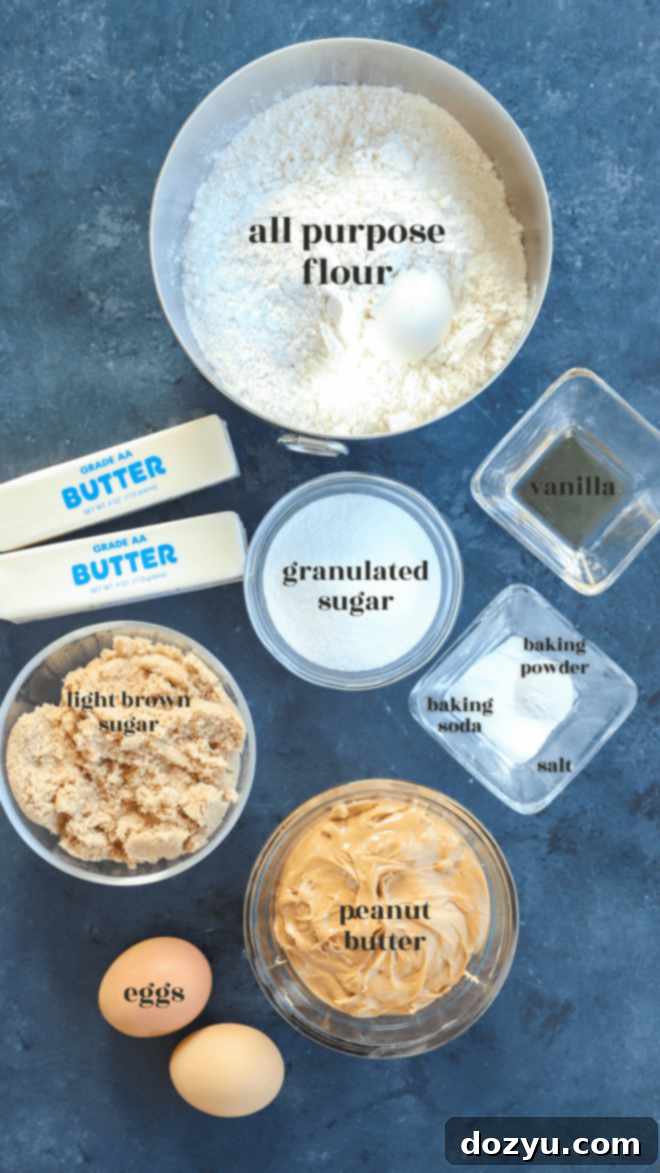 Irresistibly Chewy Peanut Butter Cookies 4 Various cookie ingredients including butter, sugar, eggs, vanilla, and peanut butter are neatly arranged for a baking photoshoot.
