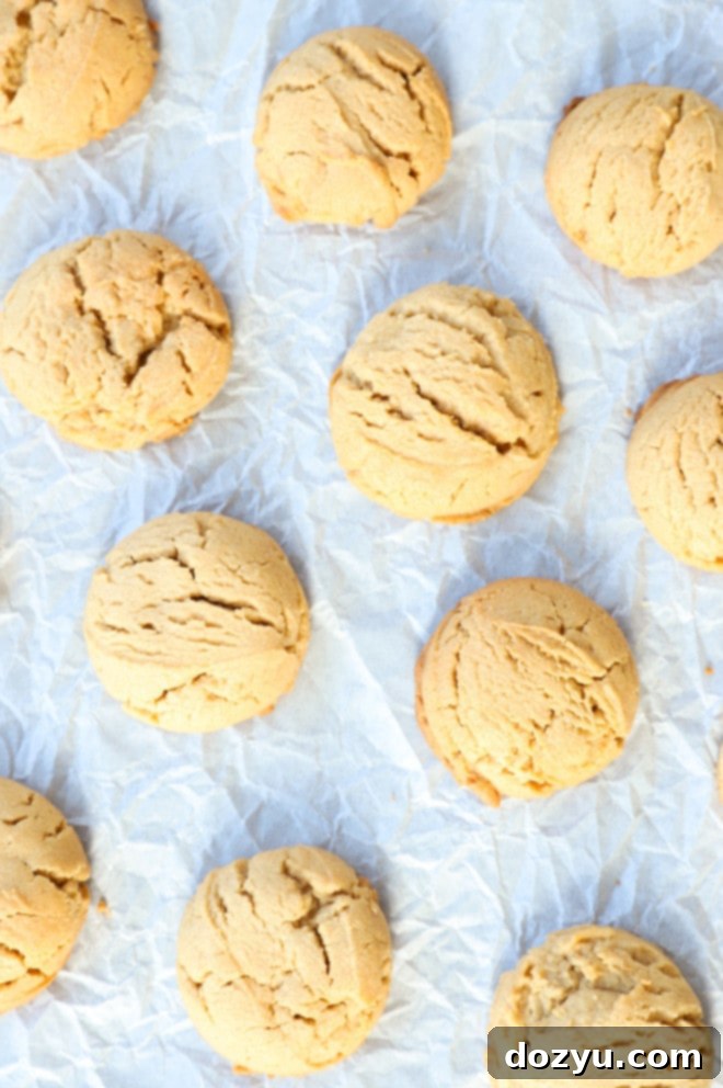 Irresistibly Chewy Peanut Butter Cookies 6 Freshly baked chewy peanut butter cookies still on the baking sheet, with slightly soft centers and golden edges, indicating perfect doneness.