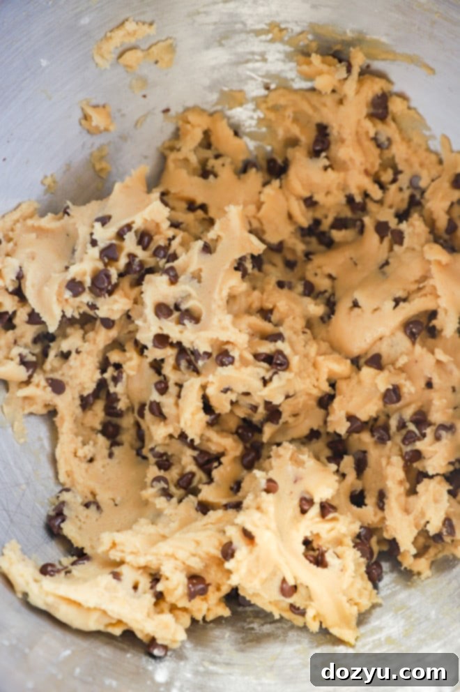A bowl filled with freshly prepared chocolate chip cookie dough, ready for scooping and baking.