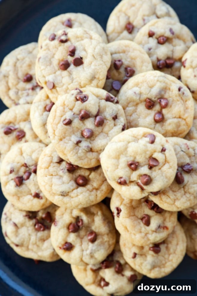 A charming plate adorned with a cluster of freshly baked mini chocolate chip cookies, ready to be enjoyed.