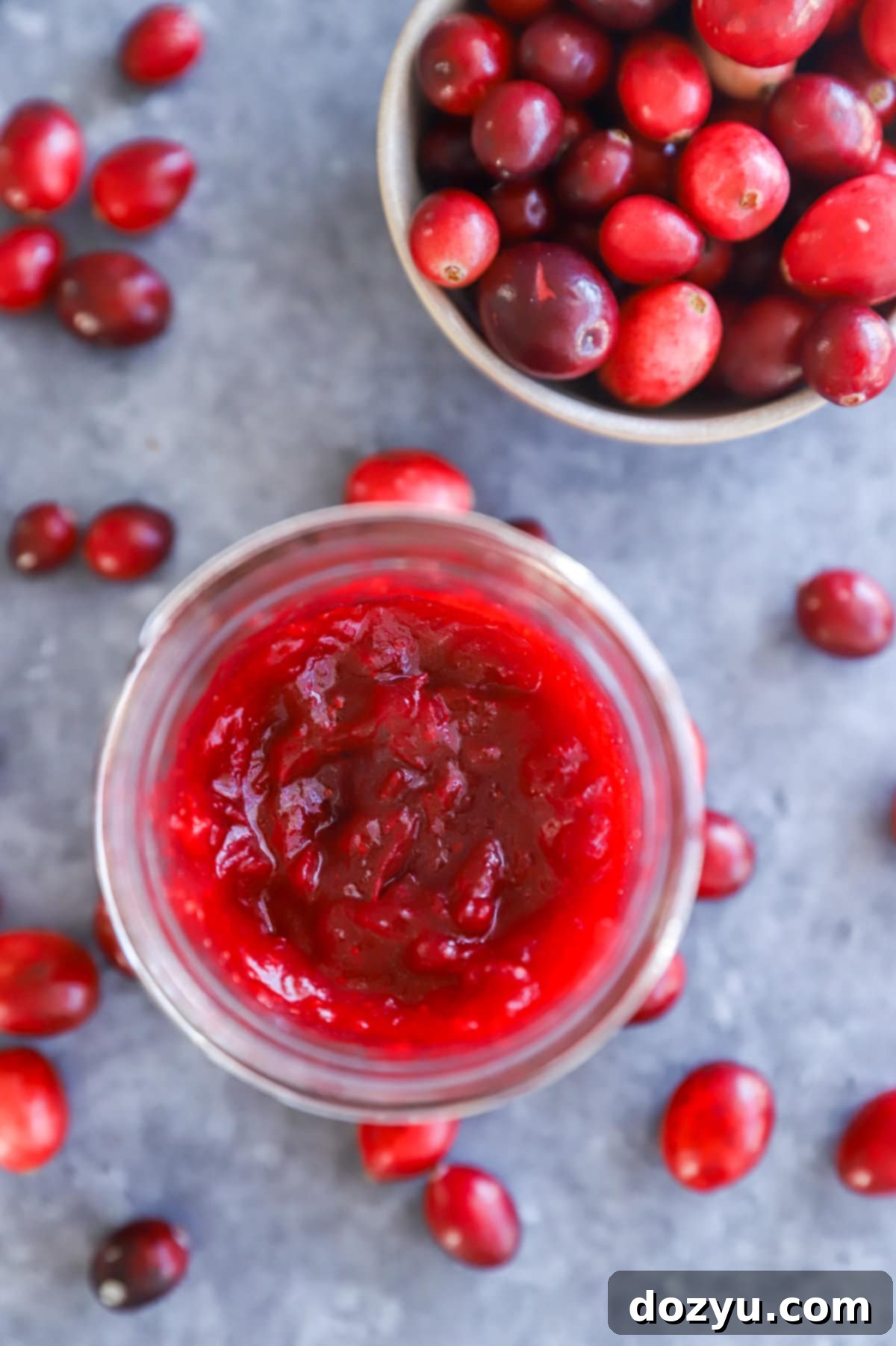 Homemade cranberry jam in a mason jar with a bowl of fresh cranberries for garnish
