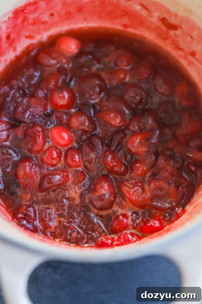 Fresh cranberries, orange slices, and brown sugar in a saucepan, ready for cooking