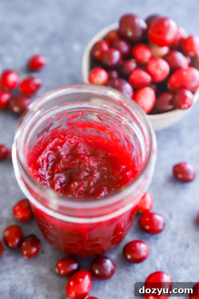 A bowl of vibrant cranberry fruit spread surrounded by fresh cranberries, suggesting a homemade delight