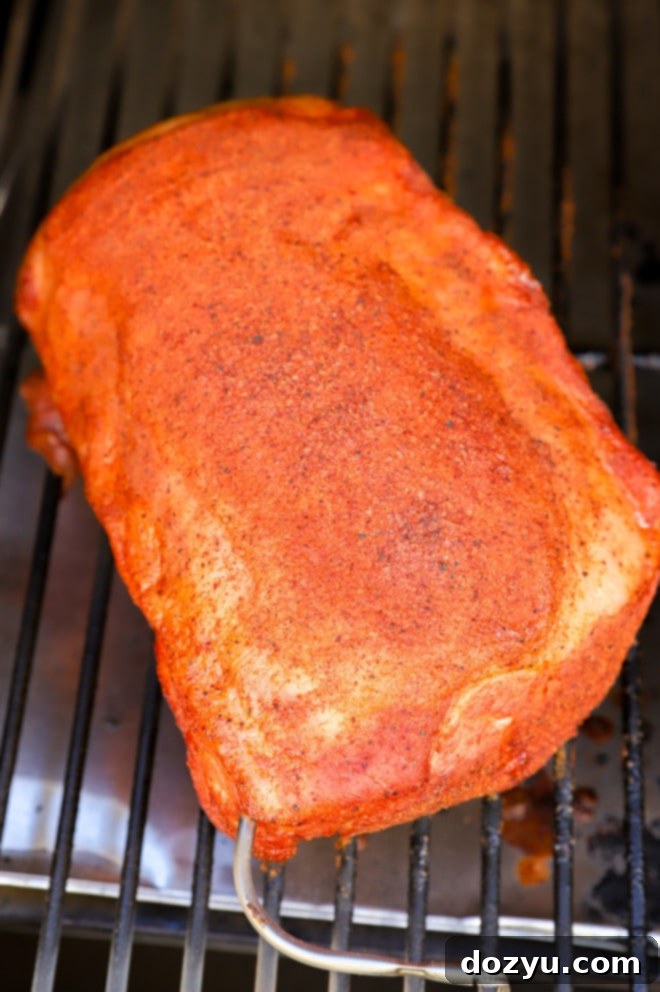 pork loin on a smoker with probe thermometer
