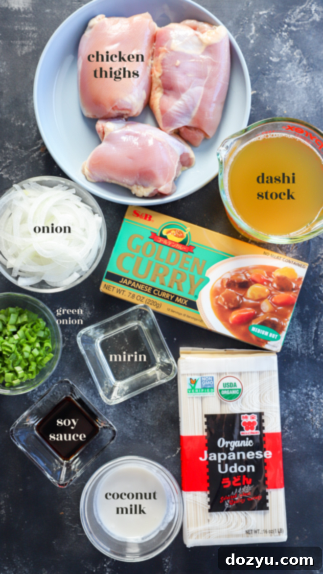 Hearty Golden Curry Udon 3 Japanese curry udon ingredients with text labels