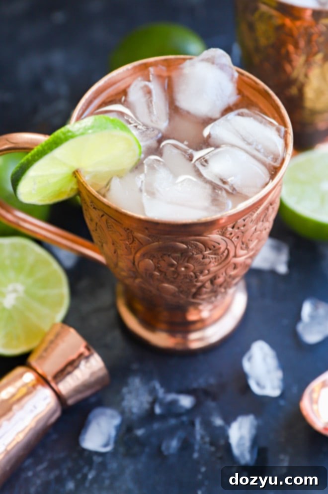 easy cocktail with ginger beer in mug with lime slice