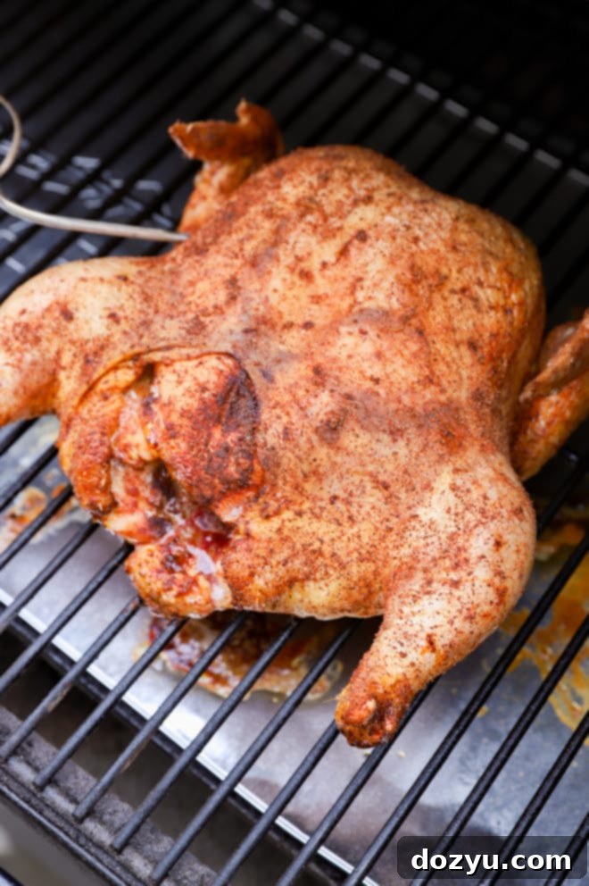 Smoked chicken on grill while cooking with meat thermometer