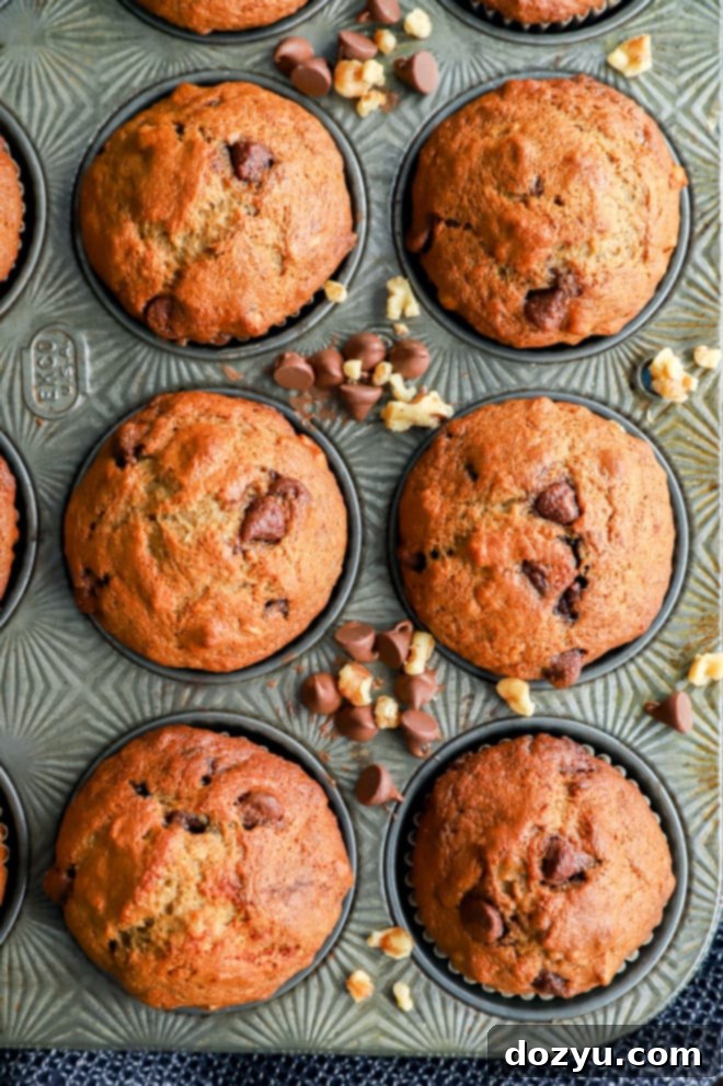 A delicious banana bread muffin with chocolate chips and nuts, broken open to show its moist interior.