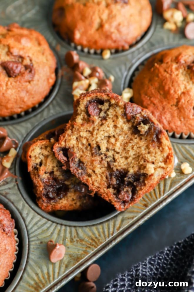A sliced banana bread muffin showcasing its fluffy texture and generous distribution of chocolate chips and nuts, resting in a muffin tin.