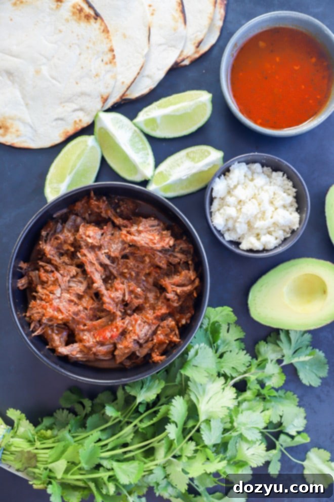bowl of mexican shredded beef with fresh toppings