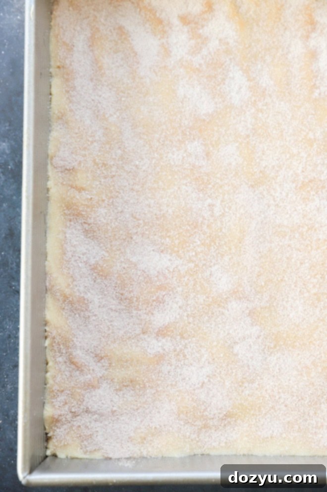 before baking cinnamon sugar cookies in pan