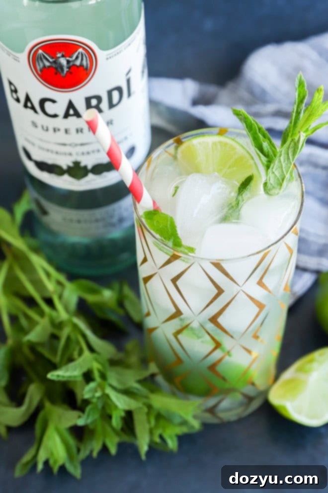 Bacardi Mojito: Your Perfect Refreshment 2 Easy rum cocktail with muddled mint and fresh limes, garnished with ice