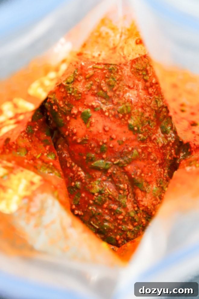 mexican chicken marinade with chicken in a bag