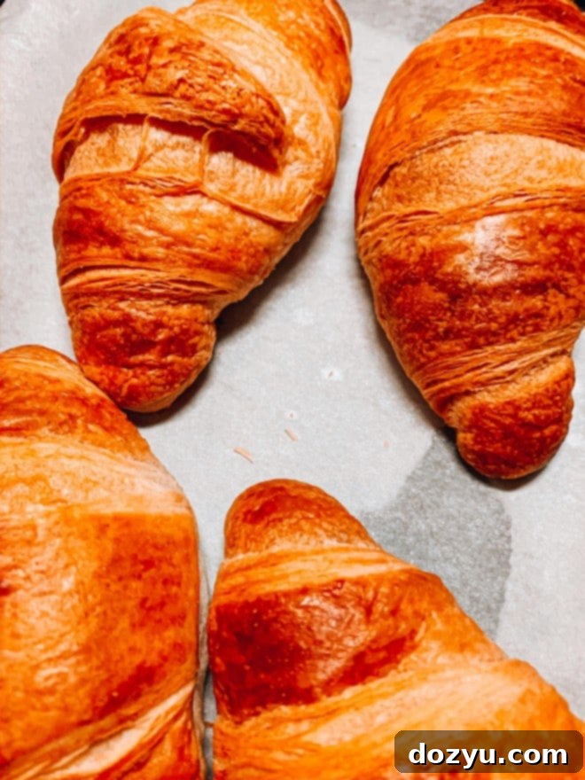 picture of croissants