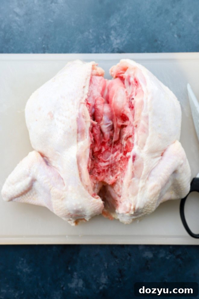 whole chicken with backbone removed on cutting board with shears