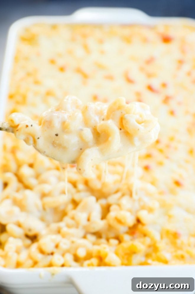A close-up of creamy four cheese mac and cheese on a spoon, pulled from the baking dish, showing its gooey texture.