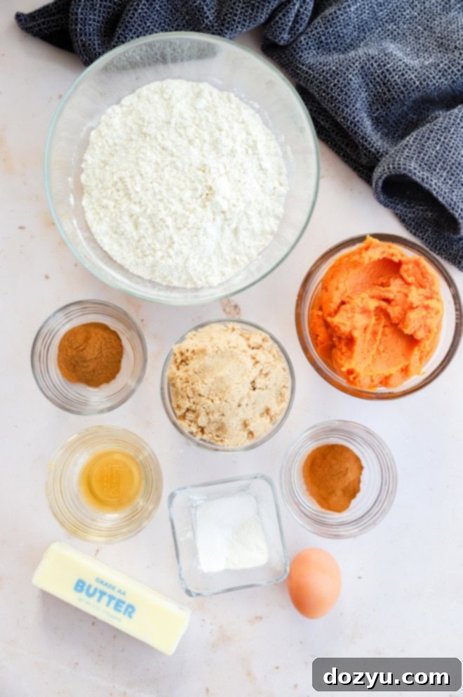 Various ingredients for pumpkin pie spice cookies laid out on a surface.