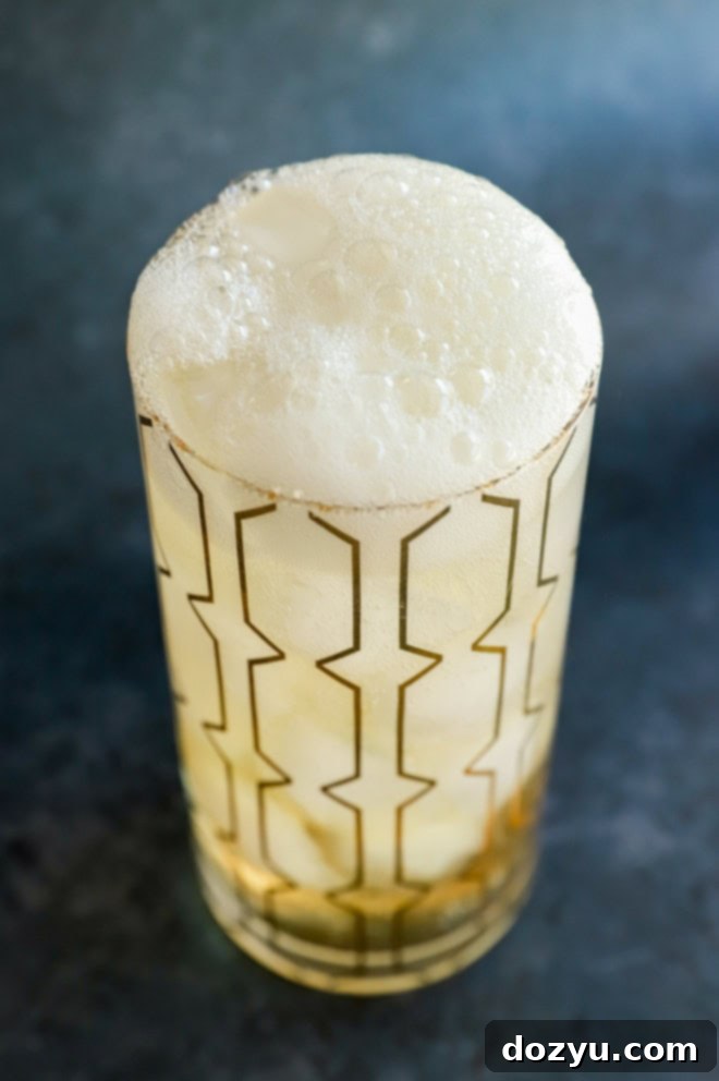 bubbly japanese highball cocktail in a highball glass