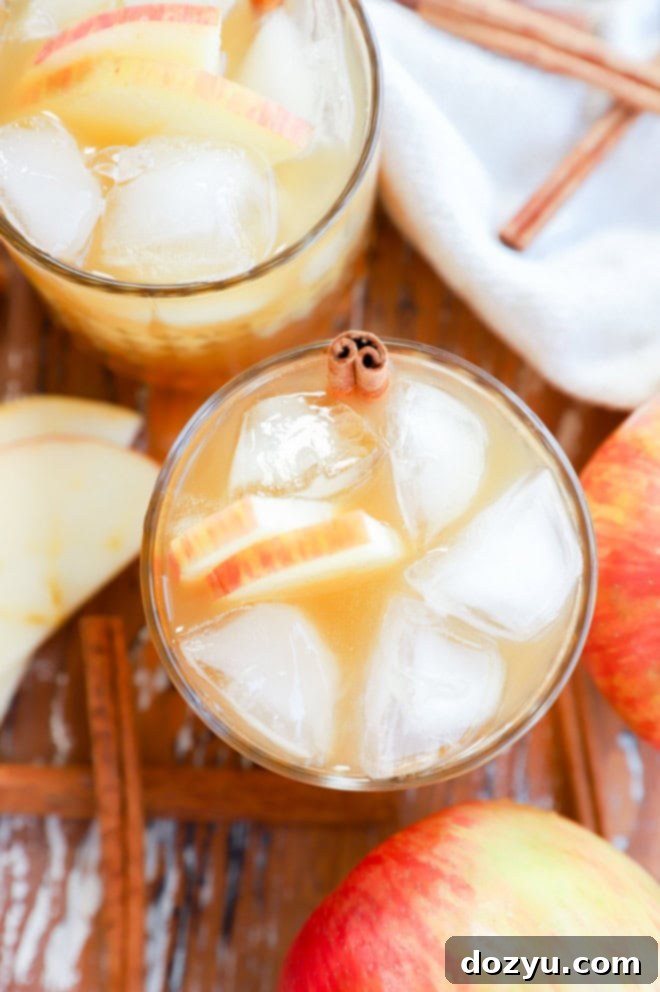 image of fall drink in glass with cinnamon stick