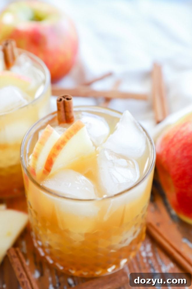 apple cider cocktail in cocktail glass with apple slices and cinnamon stick