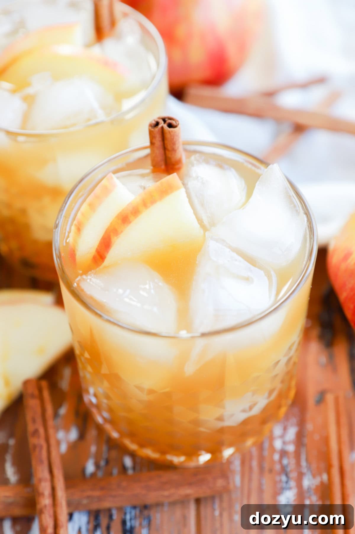 easy autumn fall drink with bourbon and fresh apple cider