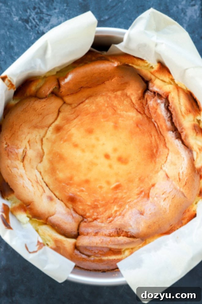 san sebastian cheesecake just after baking in the pan