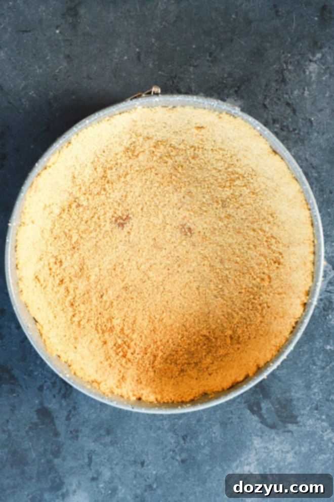 Baked graham cracker crust perfectly formed in a springform pan, awaiting the cheesecake filling.