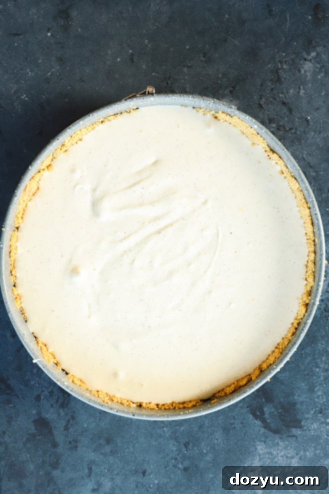 Smooth cheesecake filling poured into the graham cracker crust within a springform pan, ready for the apple layer.