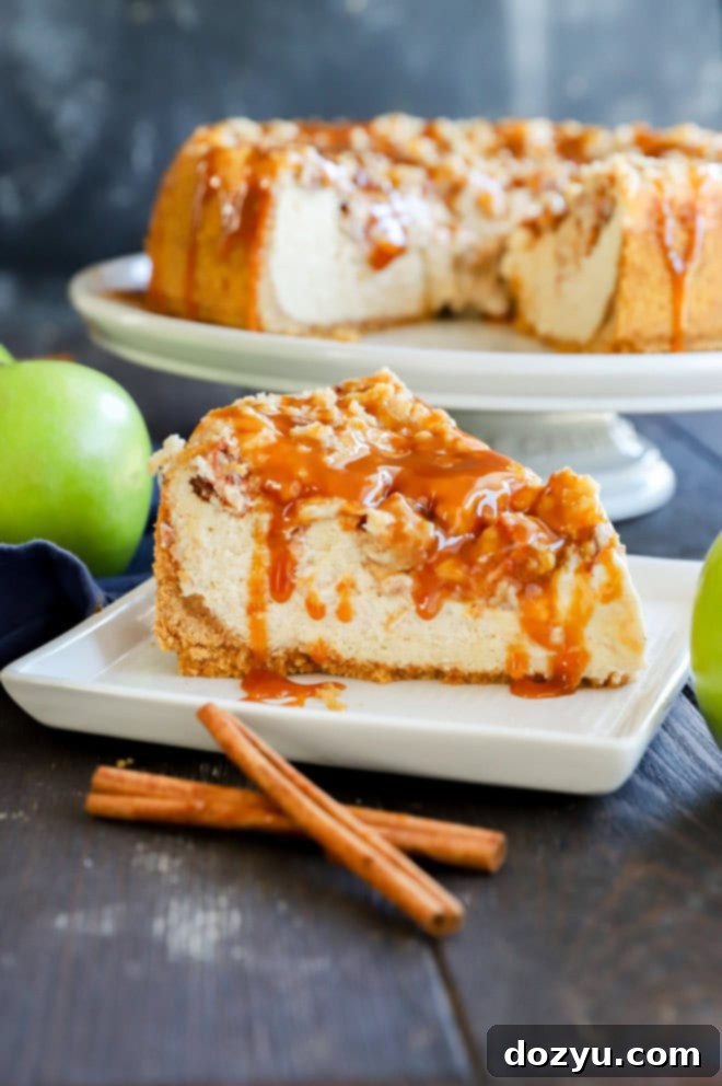 A slice of elegant fall cake dessert on a white plate, beautifully drizzled with rich caramel sauce, ready to be enjoyed.