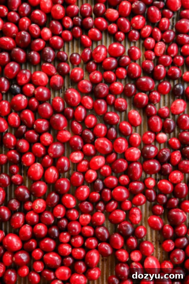 fresh cranberries on pan in even layer