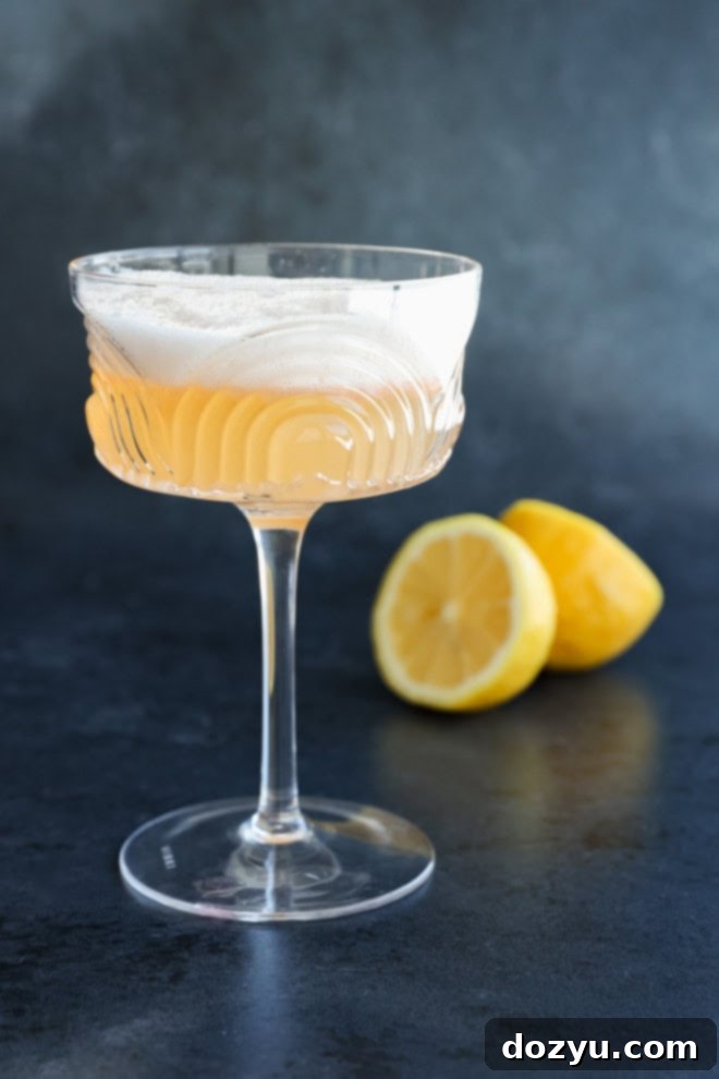 gin sour in coupe glass on black with lemon halves