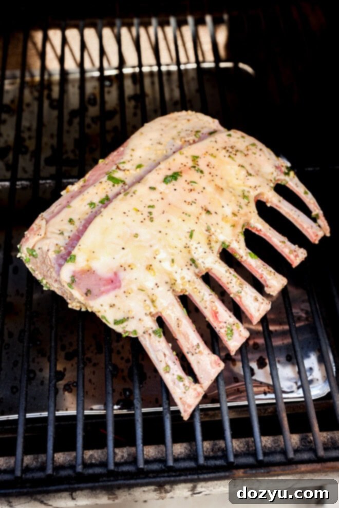 close-up of BBQ rack of lamb grilling on a hot grill, showing the sear marks