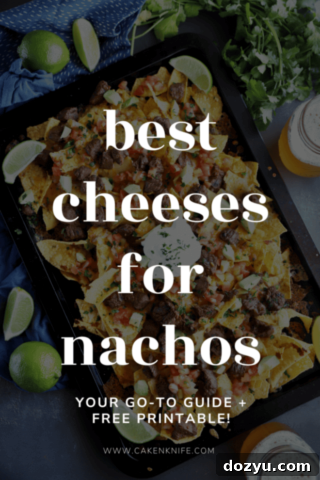 best cheeses for nachos pinterest image