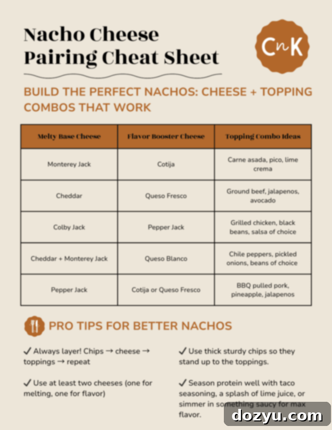 best cheeses for nachos downloadable image