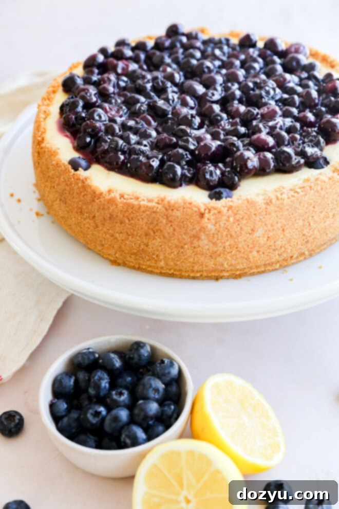 Luscious Lemon Blueberry Cheesecake 8 A beautiful Lemon Blueberry Cheesecake on a cake stand, decorated with fresh berries, ideal for a spring or summer dessert spread.
