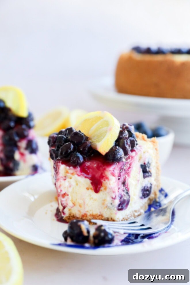 Luscious Lemon Blueberry Cheesecake 11 A fork on a plate with a slice of fruity dessert, beautifully presented with fresh citrus garnish on top.
