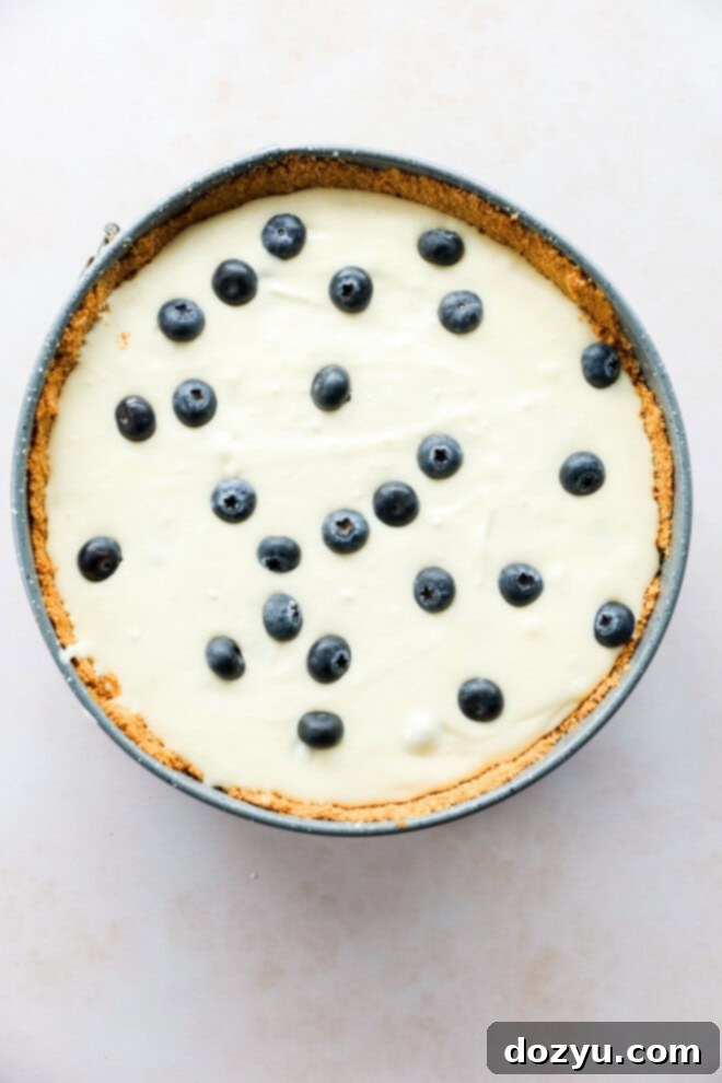 Luscious Lemon Blueberry Cheesecake 7 Unbaked lemon blueberry cheesecake with a perfectly smooth top and scattered blueberries, resting in a springform pan.