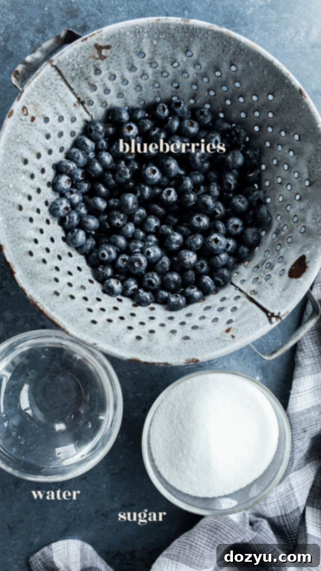 blueberry simple syrup ingredients in bowls with text labels