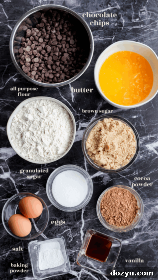 ingredients for chocolate chocolate chip cookie bars in bowls with text labels
