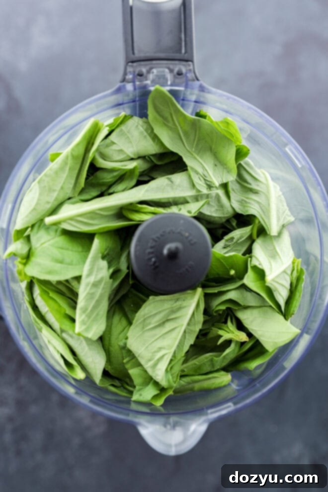 Vibrant Pistachio Pesto 4 Fresh basil leaves waiting in the bowl of a food processor, ready to be transformed into vibrant pesto.