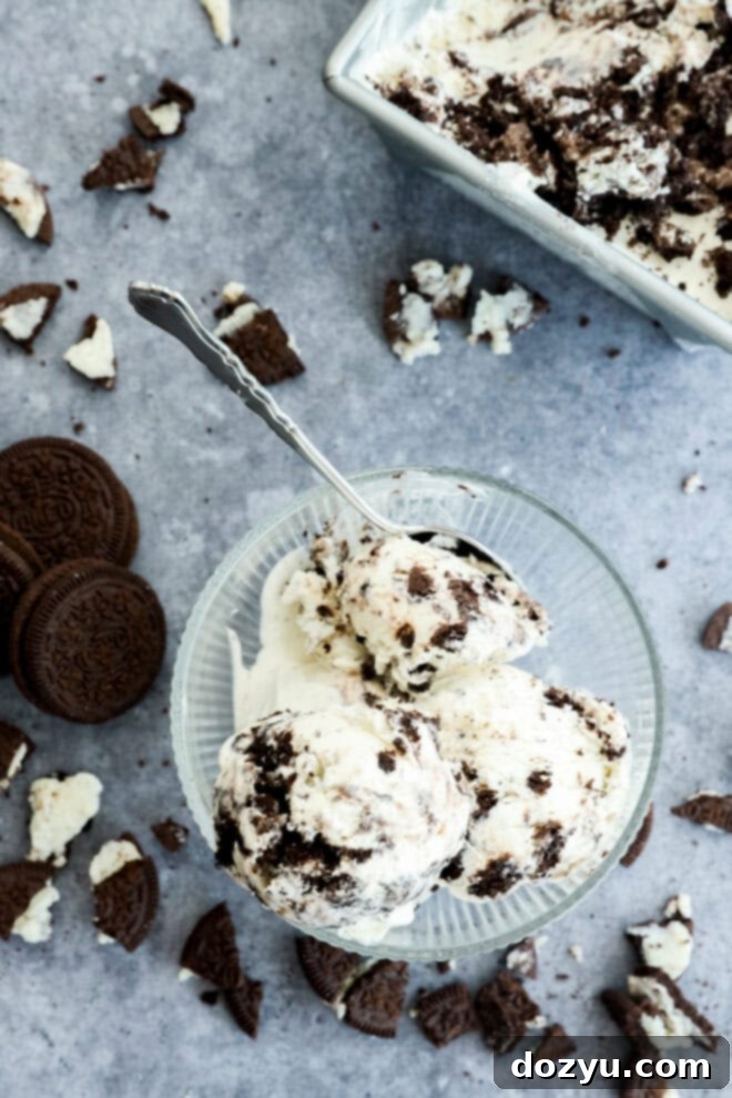 Cookies and cream ice cream in bowl with spoon and cookies around it