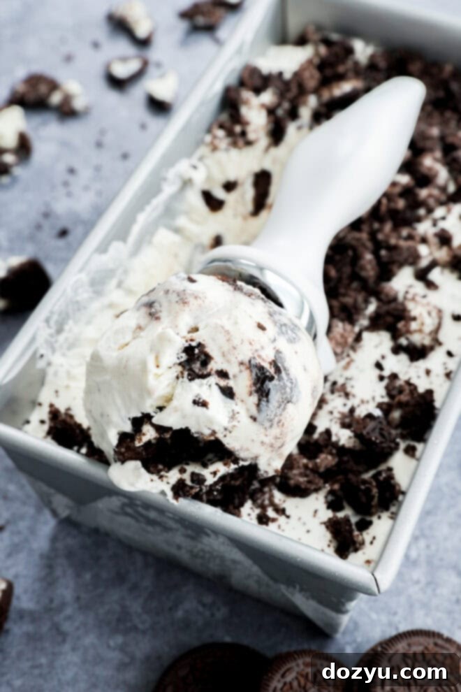 Scoop of cookies and cream frozen dessert in scoop