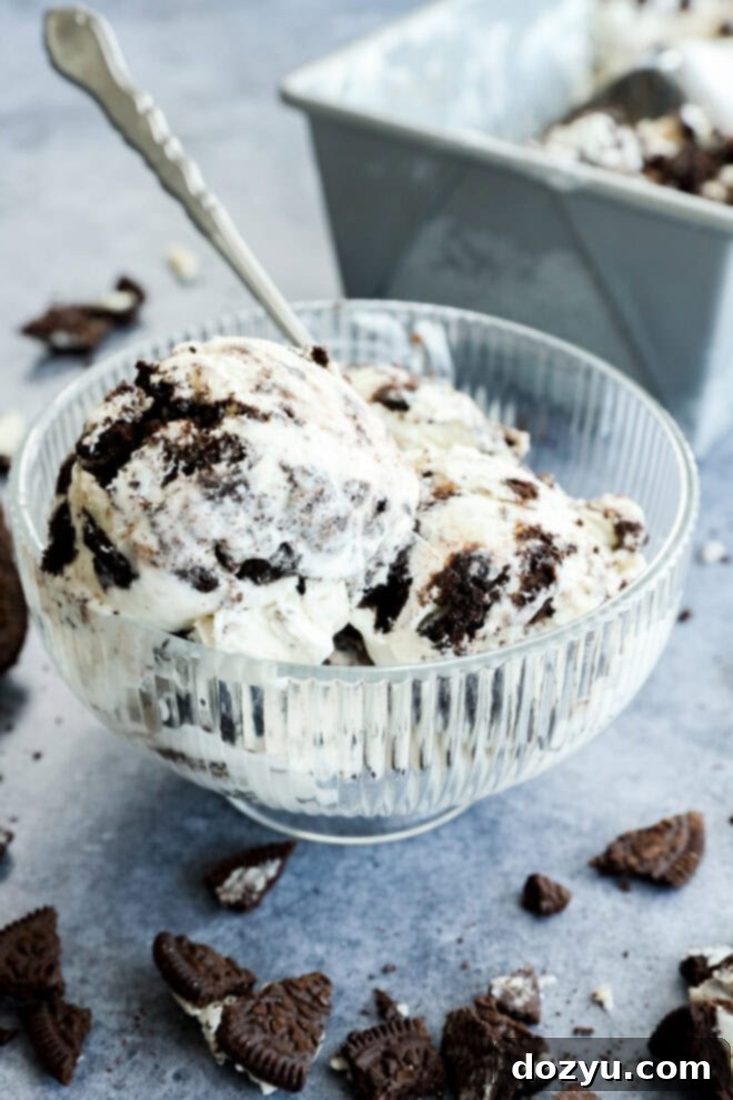 Bowl of cookies and cream frozen dessert with spoon and three scoops